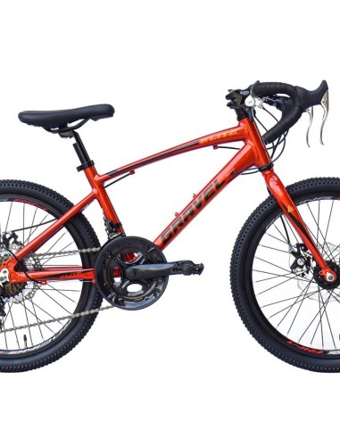 ELITE GRAVELBIKE KINDER 20 BRONS